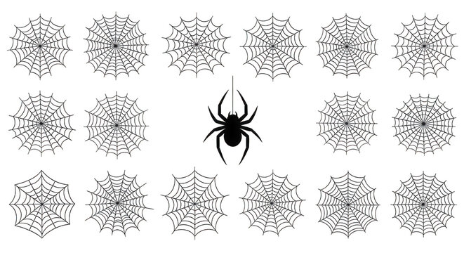 a collection of black snowflakes on a white background