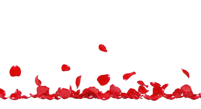 a red rose petal confetti on a white background