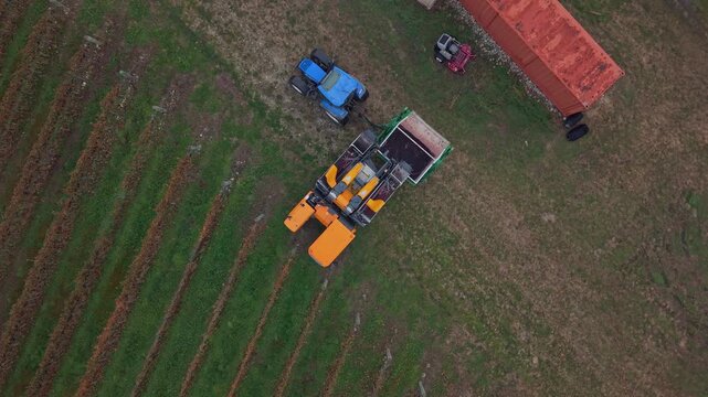 Aerial view of grape harvester and tractor working in vineyard rows near farm building