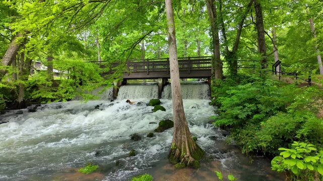 View of the cascading waters of Maramec Spring Park flowing under a wooden bridge surrounded by lush green trees and mossy rocks in Saint James, Missouri, United States.