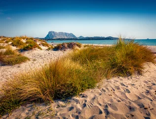 Adorable summer view La Cinta beach with Tavolara island on background. Spectacular morning scene of Sardinia island, Italy, Europe. Vacation concept background. © Andrew Mayovskyy