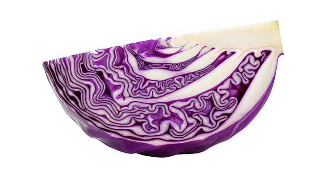 Fresh purple cabbage slice with intricate white and purple patterns on white background transparent background