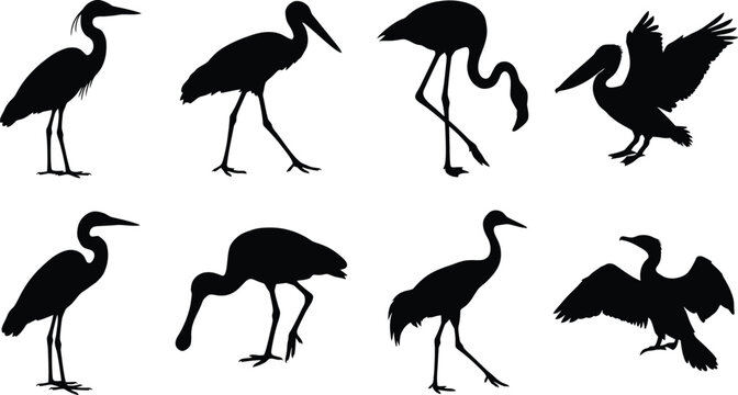 Wetland bird silhouettes set featuring heron stork flamingo pelican spoonbill crane and more.