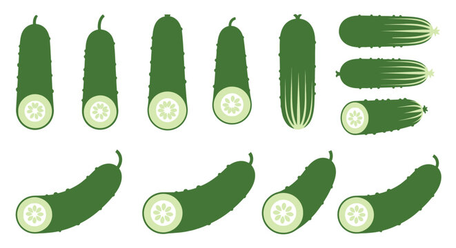 Set of green cucumber slices and whole vegetables.