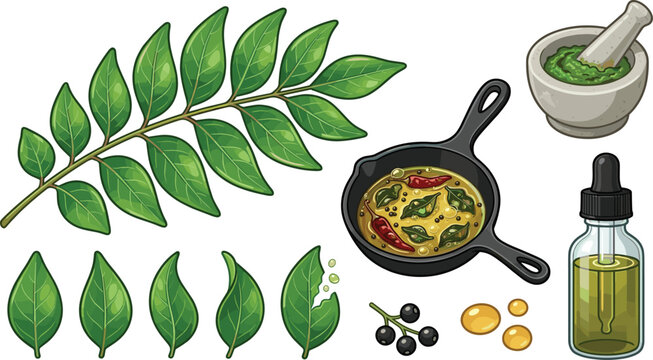 Curry Leaf Collection with Fresh Leaves Herbal Oil Spice Paste and Traditional Cooking Ingredients Illustration