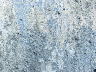 Fototapeta premium A close-up shot of a textured, weathered blue wall surface heavily covered in moss