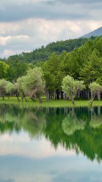 Majestic Mountain Lake Reflection and Alpine Forest Views