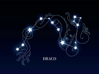 Draco zodiac constellation on a dark night sky background with stars, astrology astronomy vector design elements. With illustration © Evelin