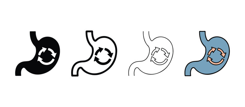 Stomach anatomy icons with clockwise and counterclockwise motion arrows  human digestive system illustrations