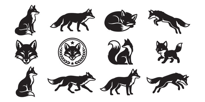 Set of black fox silhouettes showing diverse action poses and detailed fox heads with silhouette wildlife predator collection isolated standing