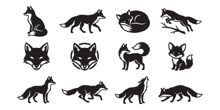 Fox silhouette collection featuring various poses walking sitting and running wildlife silhouette wildlife predator collection isolated standing
