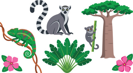 Madagascar Wildlife Collection with Lemurs Chameleon Baobab Tree Tropical Plants and Nature Illustration © Prodip