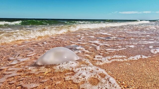 Pink salt flats with blue sky and distant horizon
