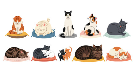 Cute cat illustrations, colorful feline icons, cat cartoon characters, vector kittens © charli