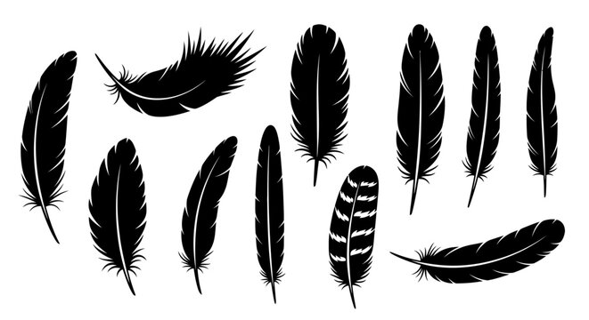 Black feather icons, feather silhouettes, 10 feather shapes, vector feathers, black and white illustrations