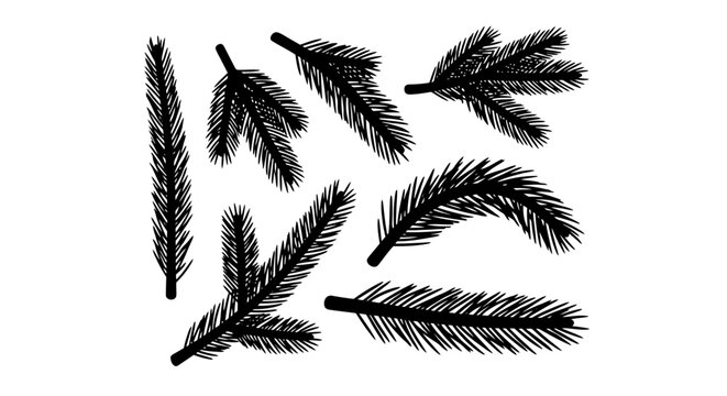 Black Pine Needle Illustrations, Vector Pine Leaves, 8 Black and White Pine Feathers, Botanical Elements