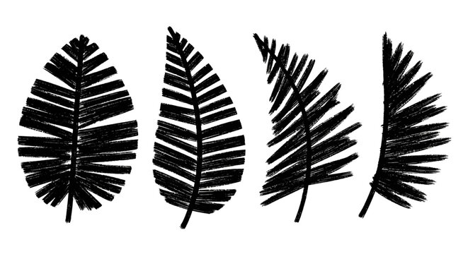 Tropical palm leaves, black silhouettes, palm fronds, leaf icons, vector graphics