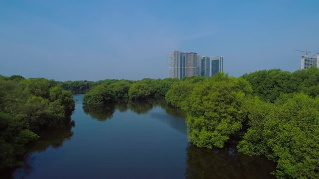 Aerial view of green mangrove forest inside jakarta