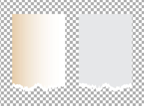 Blank white torn paper pieces. Textured ripped paper edge elements for graphic design. Creative torn paper banner for copy space