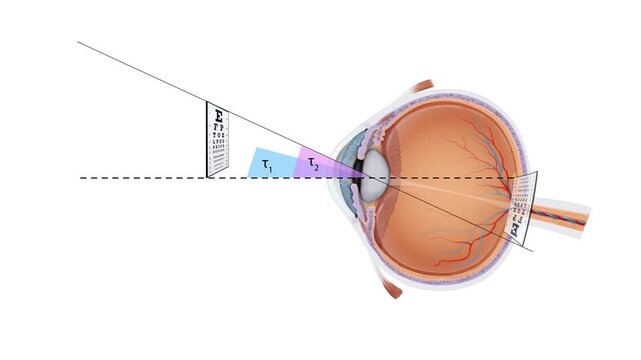 Human Eye Field of Vision Animation Peripheral Vision, Visual Field, Eye Anatomy, Vision Science, Healthcare, Medical Education, 2D and 3D Animation