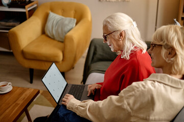 Side view of senior Caucasian women using laptop together at home, learning digital tools and...