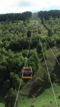 Forest Cable Car