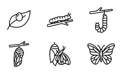 Butterfly Life Cycle Icons, Insect Metamorphosis Stages, Vector Graphics for Biology Education © Fahad