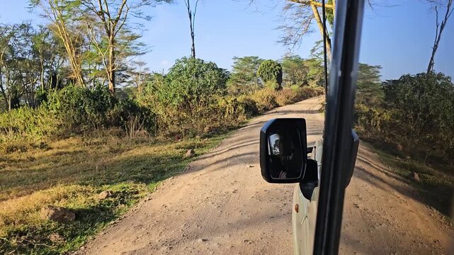 View of a safari vehicle driving along a dirt track through lush vegetation in Lake Nakuru National Park Nakuru, Nakuru County, Kenya.