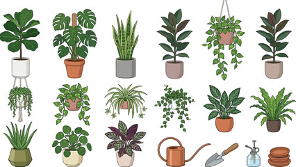 Houseplant and indoor plant collection with potted tropical greenery hanging plants and botanical vector illustrations © Prodip