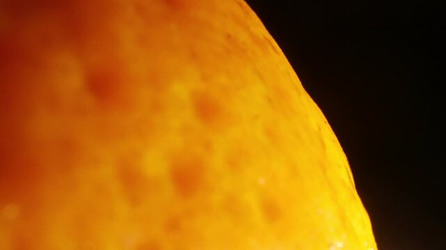 Macro close-up of vibrant yellow orange fruit surface with water drops slowly fading to black.