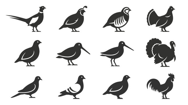  Includes: pheasant, quail, chukar, grouse, partridge, woodcock, snipe, turkey, dove, pigeon, ptarmigan, junglefowl.