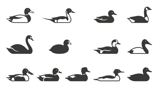 Includes: mallard duck, pintail duck, teal duck, goose, swan, coot, wigeon duck, canvasback duck, shovel duck, gadwall duck, merganser duck, black duck.