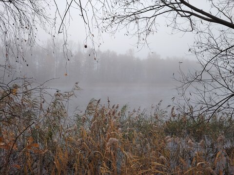Moody riverside scenery with dry reeds and misty water in late autumn