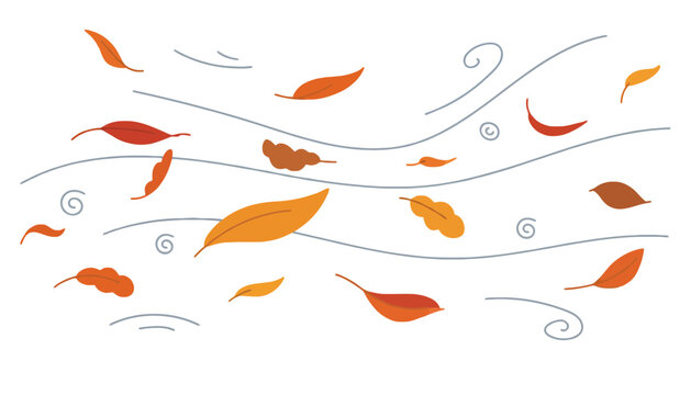 Autumn leaves falling with windy lines seasonal graphic