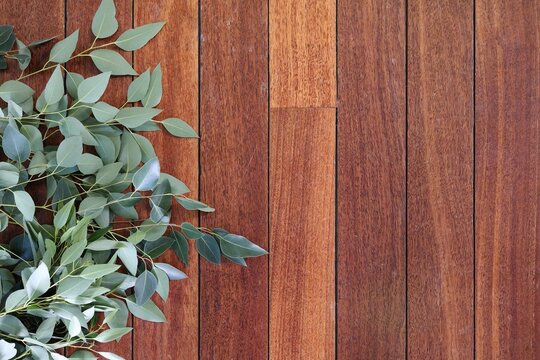 Jarrah (Eucalyptus marginata) flooring, Western Australia. Interior design, decoration background. Fresh green eucalyptus leaves lying on natural red-brown hardwood planks. Timber texture, copy space