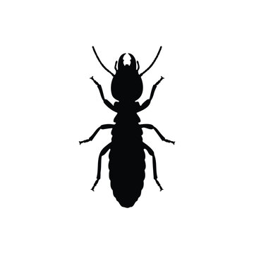Top view termite silhouette icon vector flat design.
