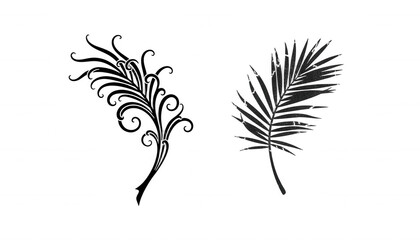 Obraz premium Two Decorative Botanical Elements a Fern and a Flourish