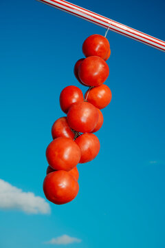 a string of tomates de colgar against the blue sky