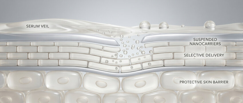 Selective Nanocarrier Delivery Across Skin Barrier Surface Science