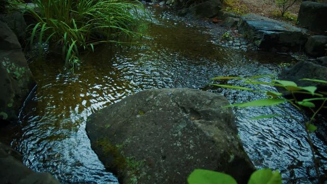 豊かな自然に囲まれた日本庭園の岩間を流れる清らかな小川 4Kシネマティック素材