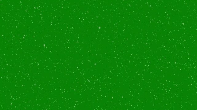 Real snow snowing on green background. snowflakes slowly falling densely against, snow glare and flare sparkles, realistic winter snowfall, high quality winter snowfall animation, 4k video