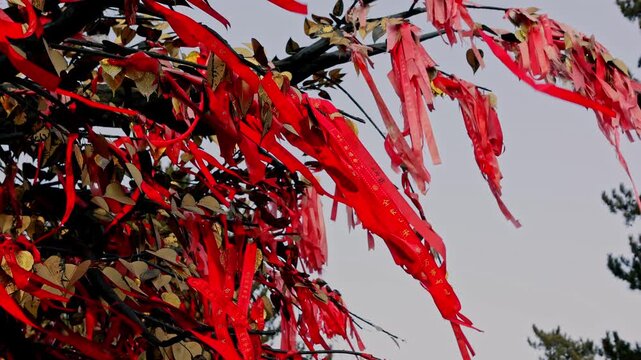 View of traditional red wishing ribbons tied to tree branches fluttering in the wind against an overcast sky in Datong, Shanxi, China.