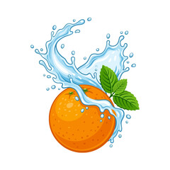 Fresh orange fruit with water splash and green mint leaves © abi