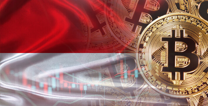 Bitcoin cryptocurrency with Monegasque flag. Investors in Blockchain Technology with Monaco flag background
