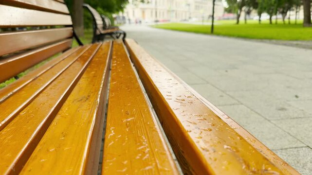 A wet wooden bench sits by a park path. In the blurred background, cars scurry past this quiet outdoor garden scene.