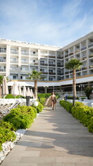 Fototapeta premium Tropical Resort Getaway: A lone woman walks down a scenic path towards a luxurious resort building, surrounded by lush greenery and palm trees, under a clear blue sky.