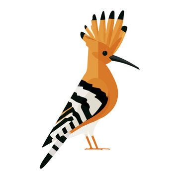 Minimal 2D vector illustration of Hoopoe in flat icon style on a plain white background.