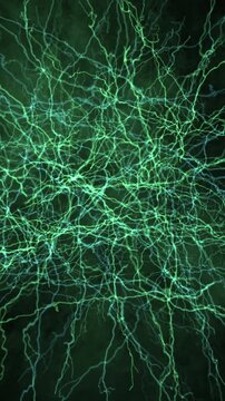 Video of a neural network from a nervous system or from AI machine language inspired by the human brain, alpha channel transparency, vertical orientation, 4k 24p VERTBACK