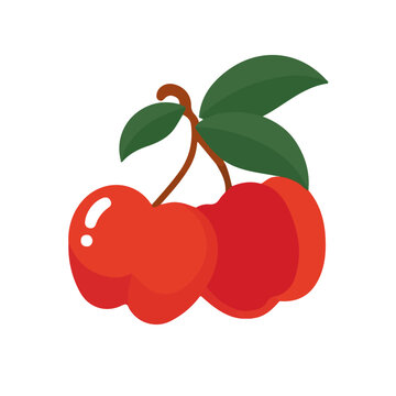 Flat 2D vector illustration of Ackee, simple icon style on a clean white background.