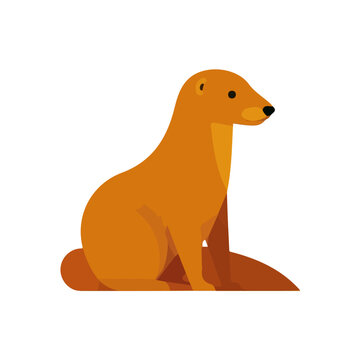 Mongoose in a clean 2D flat vector icon style, minimal and simple, set on a plain white background.